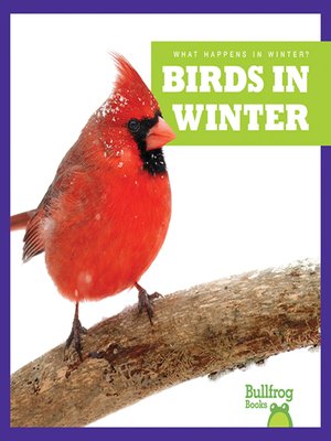 Birds in Winter - ebook